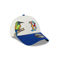 https://cdn.shopify.com/s/files/1/0601/2554/4675/files/60768765_9FORTY_CITY_ELEMENTS_25_BOSRED_CHW_3QR.jpg?v=1760624242